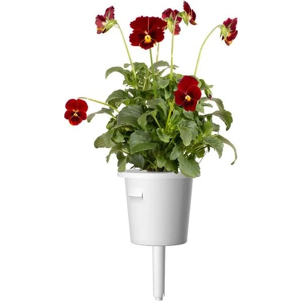 Click and Grow Maceška červená, kapsle se semínky a substrátem 3ks - Sazenice - Obrázek d_ea3f1dc8c7c942a69aa36fcf10fac1dc