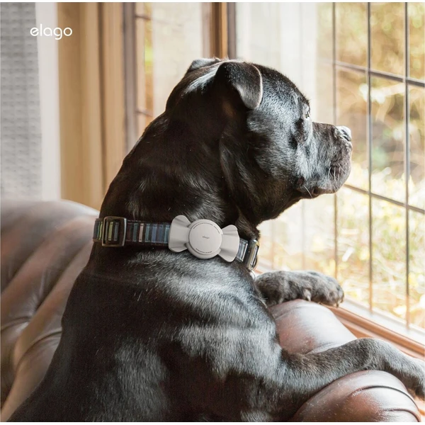ELAGO Pet Collar pouzdro pro Apple AirTag mentolové - Pouzdra - Obrázek d_eaa05ccdf84447efb28b52b7c90b5864