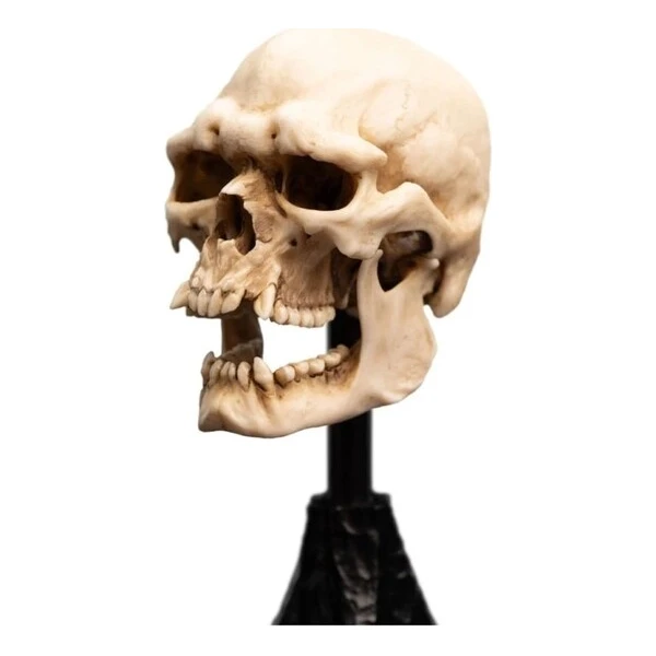 Soška Weta Workshop Pán Prstenů - lebka skřeta z Mordoru 15 cm - Sochy a sošky - Obrázek d_eea72adc0a684d049fd9b01a5b659002