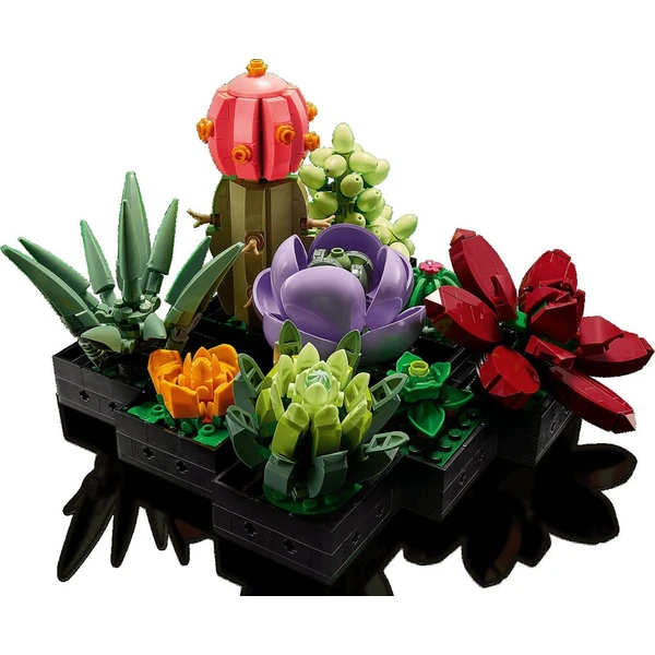 LEGO Botanicals 10309 Sukulenty - LEGO - Obrázek d_fa5c22625f2242cda8f34bd32e91db9b