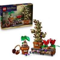 LEGO Harry Potter 76474 Rostliny z hodiny bylinkářství - LEGO