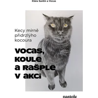 Kecy mírně přidrzlýho kocoura - E-kniha