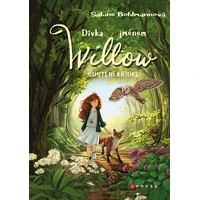 Dívka jménem Willow: Šustění křídel - E-kniha