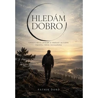HLEDÁM DOBRO - E-kniha