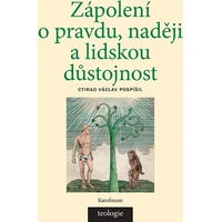 Zápolení o pravdu, naději a lidskou důstojnost - E-kniha