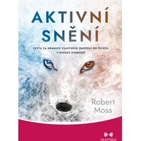 Aktivní snění - E-kniha