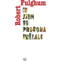Co jsem to proboha udělal? - E-kniha
