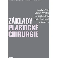 Základy plastické chirurgie - E-kniha