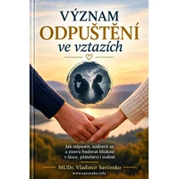 Význam odpuštění ve vztazích - E-kniha