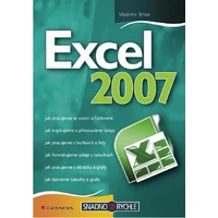 Excel 2007 - E-kniha