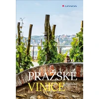 Pražské vinice - E-kniha