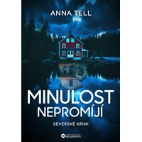 Minulost nepromíjí - E-kniha