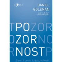 Pozornost - E-kniha