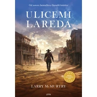 Ulicemi Lareda - E-kniha