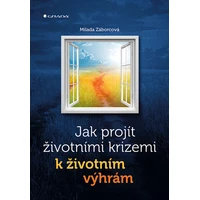Jak projít životními krizemi k životním výhrám - E-kniha