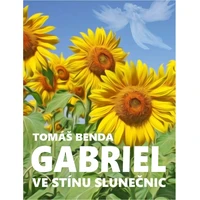 Gabriel - E-kniha