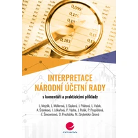 Interpretace Národní účetní rady - E-kniha