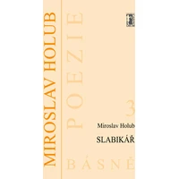 Slabikář - E-kniha