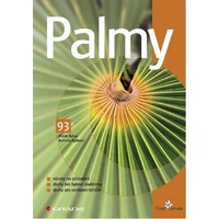 Palmy - E-kniha