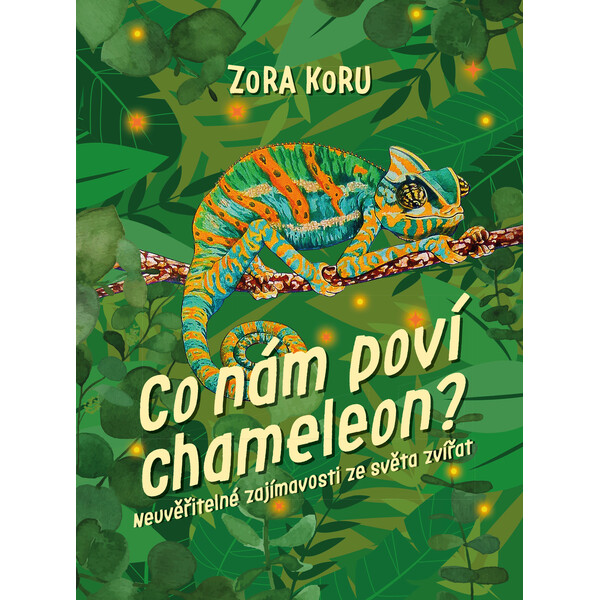 Co nám poví chameleon