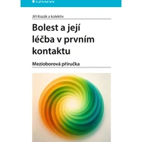 Bolest a její léčba v prvním kontaktu - E-kniha