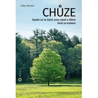 Chůze - E-kniha