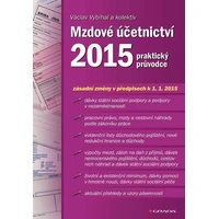 Mzdové účetnictví 2015 - E-kniha