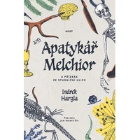 Apatykář Melchior a přízrak ze Studniční ulice - E-kniha