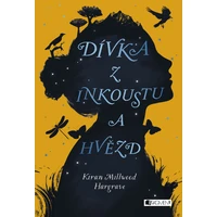 Dívka z inkoustu a hvězd - E-kniha