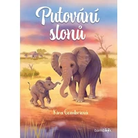 Putování slonů - E-kniha
