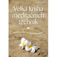 Velká kniha meditačních technik - E-kniha