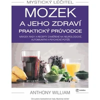 Mystický léčitel: Mozek a jeho zdraví praktický průvodce - E-kniha