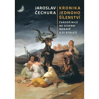 Kronika jednoho šílenství - E-kniha