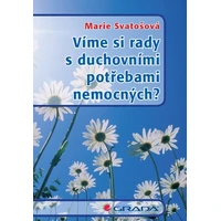 Víme si rady s duchovními potřebami nemocných? - E-kniha