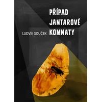 Případ Jantarové komnaty - E-kniha