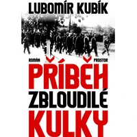 Příběh zbloudilé kulky - E-kniha