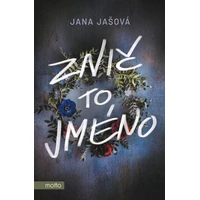 Znič to jméno - E-kniha