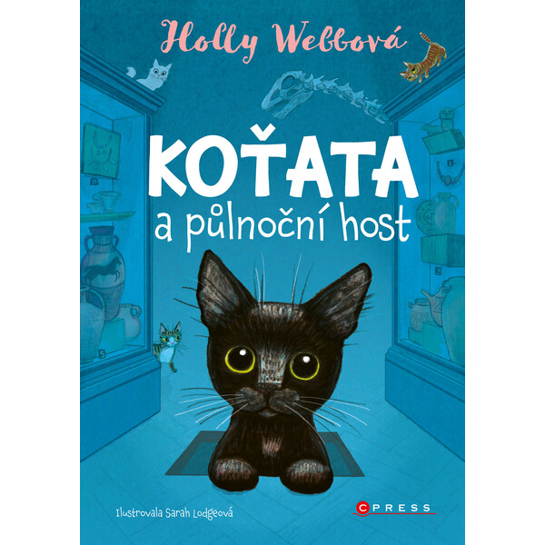 Koťata a půlnoční host
