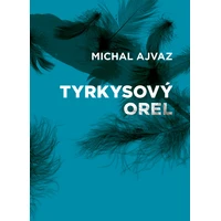 Tyrkysový orel - E-kniha