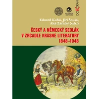 Český a německý sedlák v zrcadle krásné literatury 1848-1948 - E-kniha