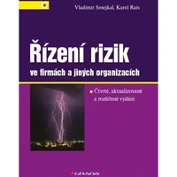 Řízení rizik ve firmách a jiných organizacích - E-kniha