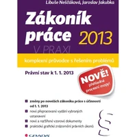 Zákoník práce 2013 v praxi - komplexní průvodce - E-kniha