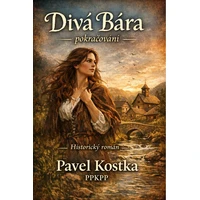 Divá Bára - pokračování - E-kniha