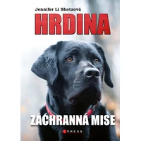 Hrdina: Záchranná mise - E-kniha
