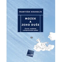 Mozek a jeho duše - E-kniha