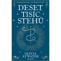 Deset tisíc stehů - E-kniha