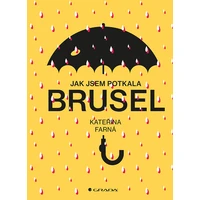 Jak jsem potkala Brusel - E-kniha