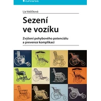 Sezení ve vozíku - E-kniha