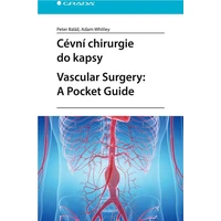 Cévní chirurgie do kapsy. Vascular Surgery: A Pocket Guide - E-kniha