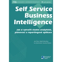 Self Service Business Intelligence - E-kniha